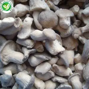 IQF ขายส่ง 1 กก.ราคาดิบแช่แข็งสดสีขาวสีเทาป่า Pleurotus ostréatus หอยนางรมมุกสีน้ําตาลเห็ดฟีนิกซ์หอยนางรมเชื้อรา