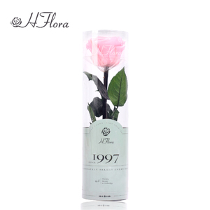 HFloral venta al por mayor buen precio alta calidad 20Cm tallo largo <span class=keywords><strong>Rosa</strong></span> 4 ~ 5 cm <span class=keywords><strong>Rosa</strong></span> cabeza preservada rosas con tallo - Product Image 6