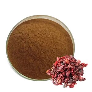 Fornecimento de fábrica de extrato de frutas de Dogwood em pó <span class=keywords><strong>100%</strong></span> orgânico de qualidade alimentar <span class=keywords><strong>100%</strong></span> <span class=keywords><strong>natural</strong></span> - Product Image 1