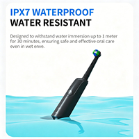 Nouvelle brosse à dents électrique rotative pour adultes, portable, rechargeable par USB, tête ronde, étanche, brosse à dents électrique de voyage pour adultes