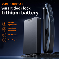 Baterai Lithium 7.4V 5000mAh untuk Kunci Rumah Pintar, Baterai Polimer 7.4v 5000mAh untuk Kunci Pintu Pintar, Bersertifikasi CE RoHS untuk Instrumen dan Meteran / PDA