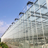 Grandes serres agricoles économiques multi-chapelles en verre trempé avec structure en acier galvanisé et ventilation latérale pour