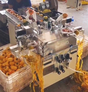 เครื่องปอกเปลือกผลไม้แบบสองสถานี ป้อนผลไม้อัตโนมัติ เครื่องปอกเปลือกผลไม้ไฟฟ้า - Product Image 3