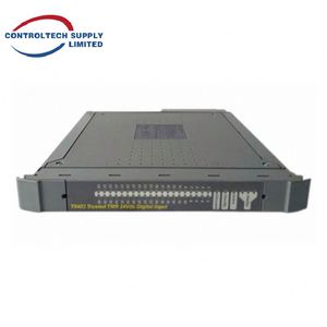 Ensemble de terminaison de sortie numérique ICS TRIPLEX T8243 - 8 canaux doubles, 24V Haute fiabilité pour le contrôle industriel - Product Image 3