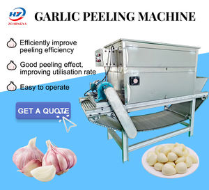 Machine à éplucher l'<span class=keywords><strong>ail</strong></span> à haute productivité Machine à éplucher l'<span class=keywords><strong>ail</strong></span> à chaîne Machine à <span class=keywords><strong>ail</strong></span> commerciale - Product Image 2