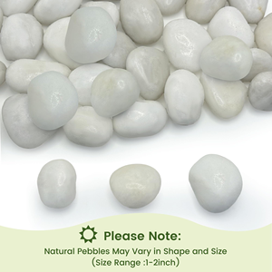 Pietre di fiume bianche naturali lucidate per acquari, acquascaping e decorazioni paesaggistiche - Pietra naturale di alta qualità e durevole - Product Image 4