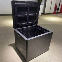Hanwell 18L-81L Caja de Transporte de Cadena de Frío de Espuma EPP Ecológica al por Mayor para Entrega de Alimentos