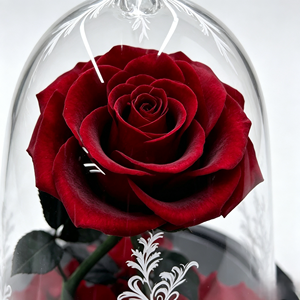 La <span class=keywords><strong>Bella</strong></span> <span class=keywords><strong>y</strong></span> la <span class=keywords><strong>Bestia</strong></span>, <span class=keywords><strong>Rosa</strong></span> Preservada, Flor Eterna en Cúpula de Cristal, Regalo para Novia, Mujer, Navidad, Acción de Gracias, Decoración del Hogar - Product Image 3