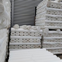 Tissu taffetas tissé 75D 210T, séchage rapide, respirant, imperméable, léger, doublure 100% polyester, vente en gros d'usine