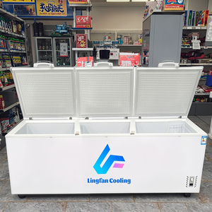 Congelador Horizontal de Gran Capacidad, Alta Calidad, Una Sola Temperatura, Apertura Superior, Refrigerador - Product Image 1