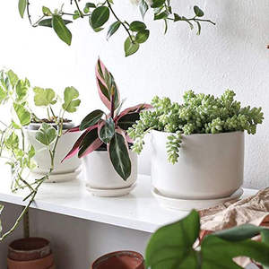 Orchid Pot Wholesale Mini Indoor White Bonsai Orchid Pot Ceramic Succulent Planter