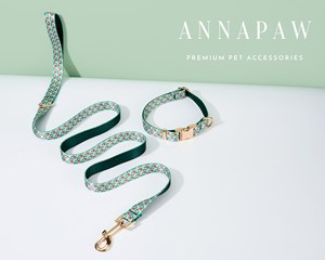 Laisse solide en nylon tactique faite à la main avec rivets, cadeaux de Noël, ensemble fantaisie gravé pour chiot, cadeau d'Halloween, collier de chien personnalisé - Product Image 5