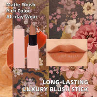 Nouveau Rouge à Lèvres Minéral Longue Tenue Personnalisé avec Logo Privé, Fini Crème Rose Mat de Luxe, Idéal pour un Teint Sublimé