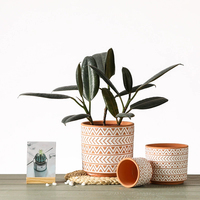 Longstar-Jardinière en céramique avec trou de drainage, 5.7/4.7/3.5/pouce, jardinière décorative moderne, plantes d'extérieur Lily, Cactus