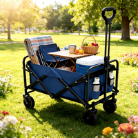 Chariot de camping pliable robuste, capacité 80 kg, chariot utilitaire pliable, mobilier d'extérieur portable pour la plage, le jardin et le shopping