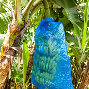 Housses de protection pour fruits en PP non tissé, durables, réutilisables et écologiques, pour bananes, tomates et jardins d'hiver - Product Image 1