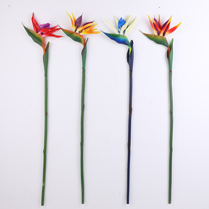 Nuovo prodotto vero e proprio tocco artificiale paradiso uccello pianta da fiore per la decorazione della casa eco-friendly decorazione della festa di nozze - Product Image 2