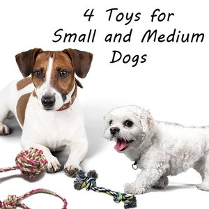 Stock top seller <span class=keywords><strong>chiot</strong></span> chien animal corde jouets ensemble de 4 chien remorqueur corde - Product Image 4