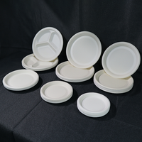 Assiettes jetables biodégradables en amidon de maïs, sans PFAS, réutilisables, écologiques, personnalisables, 6, 7, 8, 9, 10 pouces