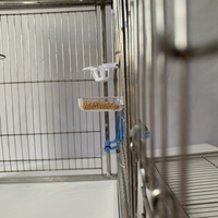 Mini mangeoire suspendue pour oiseaux, petit bol à nourriture pour perruches, pinsons et petits oiseaux
