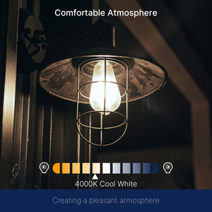 Chất lượng cao sáng <span class=keywords><strong>LED</strong></span> <span class=keywords><strong>Edison</strong></span> bóng đèn ST64 7W 4000K E27 trung tính trắng trang trí chiếu sáng - Product Image 5