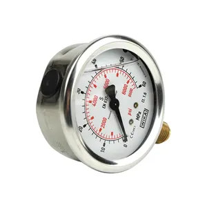 SS304 Pressure gauge bar/mpa unit optional wika