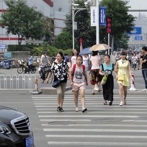 ระบบไฟสัญญาณจราจร LED แบบไร้สายพลังงานแสงอาทิตย์สำหรับทางม้าลาย Pelican Zebra Crossing พร้อมปุ่มกดสำหรับคนเดินเท้า - Product Image 3