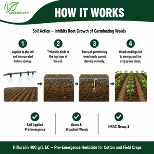 GREENRIVER Trifluralin 480 G/L EC Erbicida Pre-Emergenziale HRAC Gruppo 3 <span class=keywords><strong>per</strong></span> Applicazione al Suolo - Product Image 3