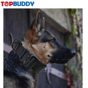 नए क्लासिक टिकाऊ सामान प्लास्टिक क्लैंप पालतू कुत्ते कॉलर पालतू कुत्ते कॉलर पालतू जानवर कॉलर - Product Image 3