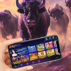 Game Vault Wholesale USA ผู้จัดจำหน่ายเกมยอดนิยมขายดีที่สุด แพลตฟอร์มเกมตกปลา และเกมตกปลาออนไลน์ - Product Image 1