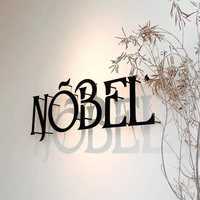 Lettres en acier inoxydable peintes sur mesure, logo 3D non lumineux pour salon de beauté, spa, barbershop, décoration murale de réception