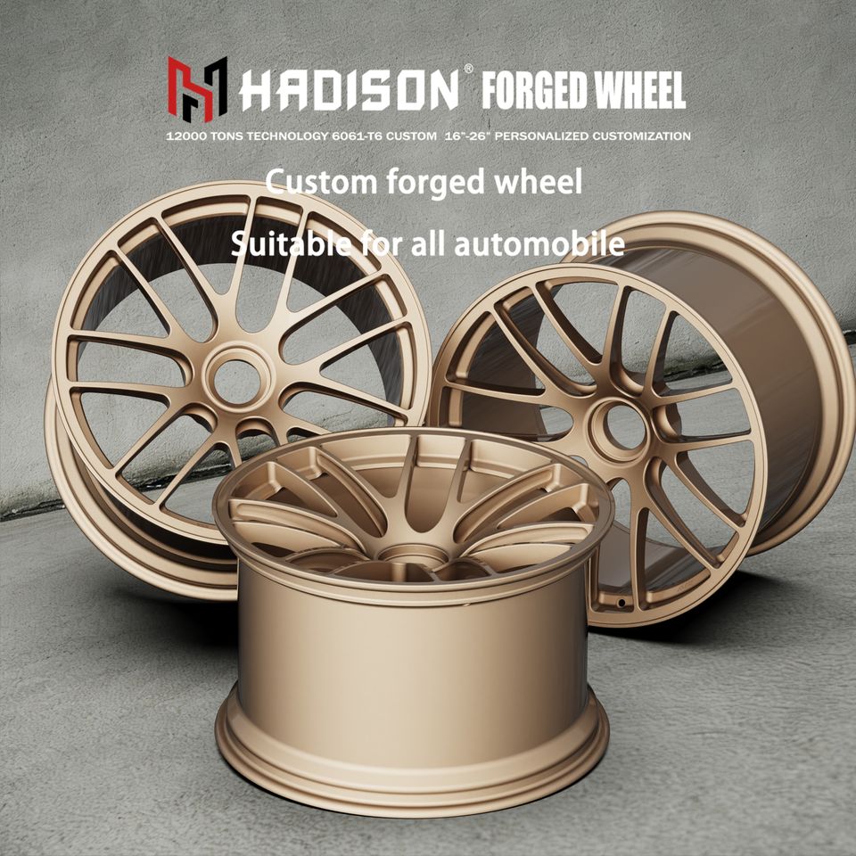 Custom Magnesium Alloy Forged Multi-Spoke Deep Concave Center Lock ...