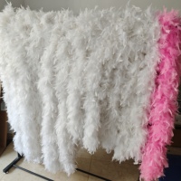 Boa en plumes de dinde teintes épaisses de 120g, blanc, pour spectacle, danse, déguisement de burlesque, décoration