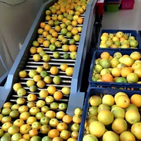 10 ~ 2000 Ton Per Dag Industrieel Nieuw Product Citrusvruchten Verwerkingslijn Sinaasappelsap Maken Lijn