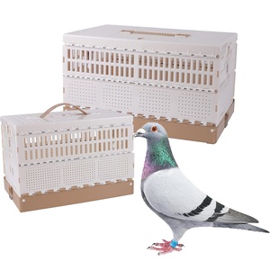Ama-zon Offre Spéciale Cage pliante pour pigeons portable Cage pour pigeons en plastique Boîte de transport pour animaux de compagnie - Product Image 2