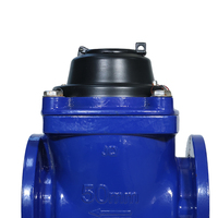 Compteur d'eau mécanique Yuxiang DN65 IP68 à brides pour traitement des eaux usées, pièces immergées en acier inoxydable SS316, 1.0/1.6MPa, 2.5M3/H