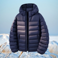 Veste en duvet pour homme, veste en duvet légère à capuche, chaude et rembourrée de duvet, veste en duvet tendance pour l'extérieur, la rue et l'hiver