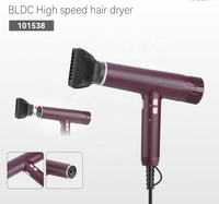 Sèche-cheveux ionique haute vitesse avec diffuseur, construction en plastique, pour hôtel, maison, salon et usage extérieur