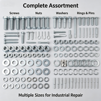 Kit de Surtido de Herrajes de Acero al Carbono Galvanizado Grado 4.8: Pernos Hexagonales, Tuercas, Arandelas Planas y de Resorte, Antioxidantes