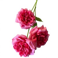 Roses artificielles Austin, 3 têtes, grandes tiges de roses pour la décoration du salon, aménagement paysager, bouquets de mariage