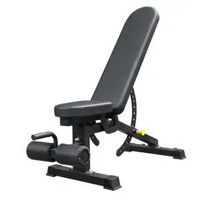 Tập thể dục băng ghế dự bị Báo Chí phòng tập thể dục thiết bị sử dụng nhà có thể điều chỉnh 60 độ băng ghế dự bị để bán