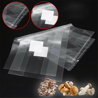 Sac XL en polypropylène en plastique PP chaud avec filtre aseptique pour emballage de spawn de culture de champignons de ferme pour champignons