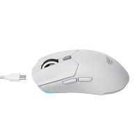 Souris sans fil Havit MS974WB 2.4G, souris de jeu RGB pour joueur, rechargeable, programmable, ergonomique