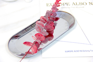 ขายส่งงานแต่งงานตกแต่งกลางแจ้งใบประดิษฐ์ยูคาลิปตัส - Product Image 5