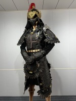 Manteau de soldat chinois ancien pour homme, costume de guerrier noir, plume rouge, casque de bête dorée, reconstitution historique