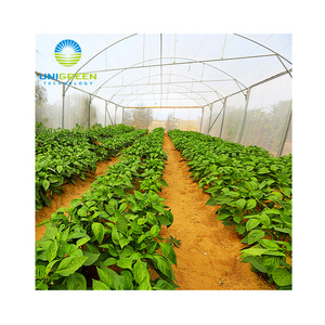 Serra del Tunnel dell'arco di agricoltura del Film di PEP della campata di piccola dimensione di buona qualità per la verdura e il fiore - Product Image 1