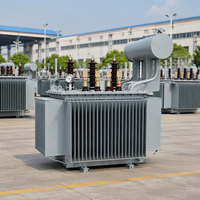 Transformateur de distribution immergé dans l'huile triphasé S20 315 kVA, trois enroulements, 50 Hz/60 Hz, pour usage agricole