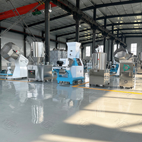 Ligne de production électrique d'aliments pour poissons 30-40 kg/h extrudeuse utilisée à vendre