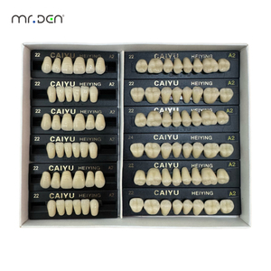 Matériaux dentaires Mr.Den, résine acrylique, dents antérieures supérieures et inférieures manuelles, 2 couches, certifiées CE, prothèse dentaire - Product Image 5