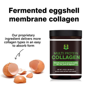 ผงคอลลาเจนหลายโปรตีนที่ซับซ้อนด้วยโปรไบโอติกคอลลาเจนเปปไทด์ไฮโดรไลซ์สำหรับผิวผมข้อต่อลำไส้สุขภาพเล็บ - Product Image 4